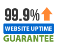 best web hosting