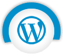 WordPress 虚拟主机图标