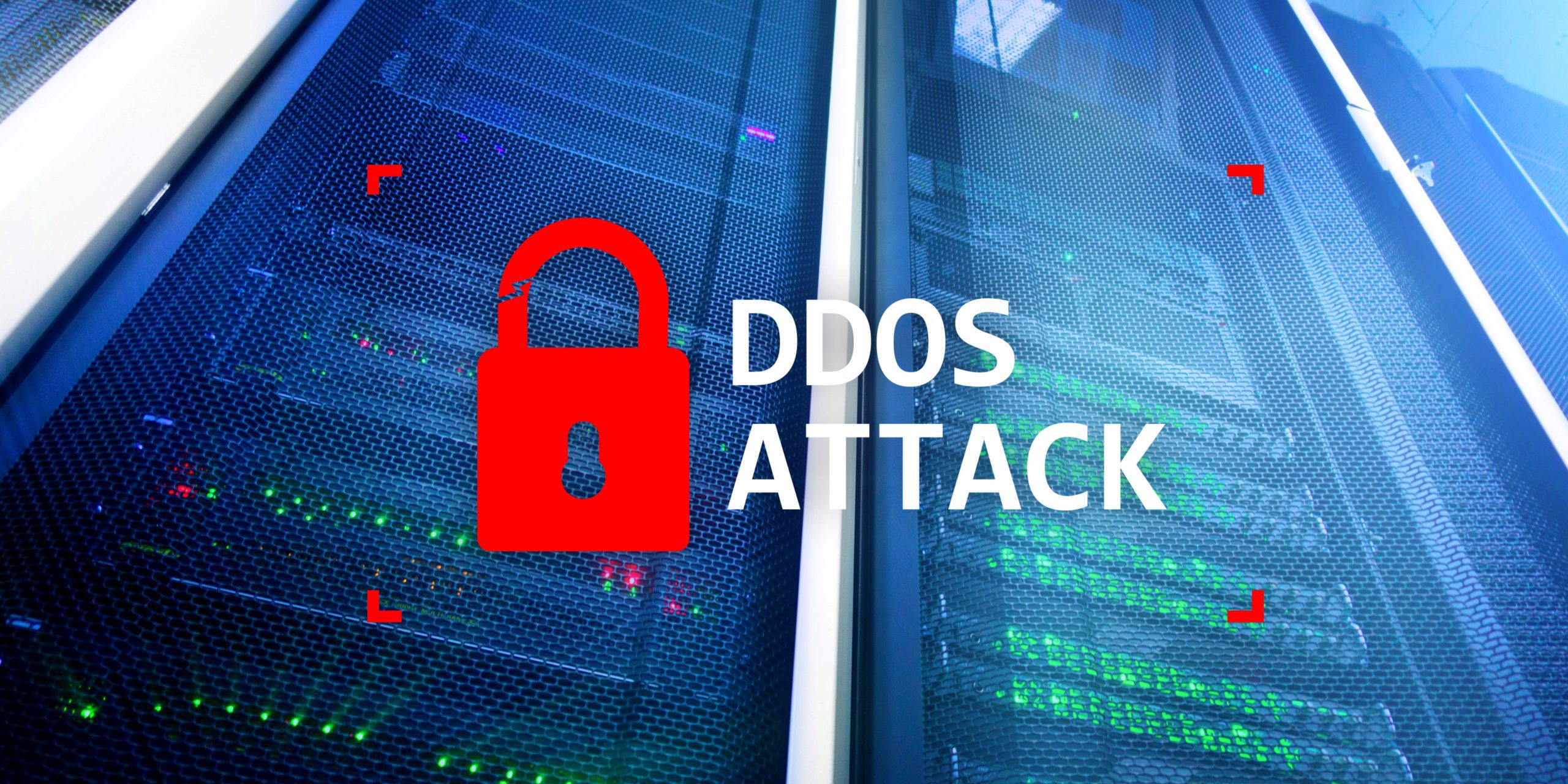 Read more about the article Types of DDoS Attacks